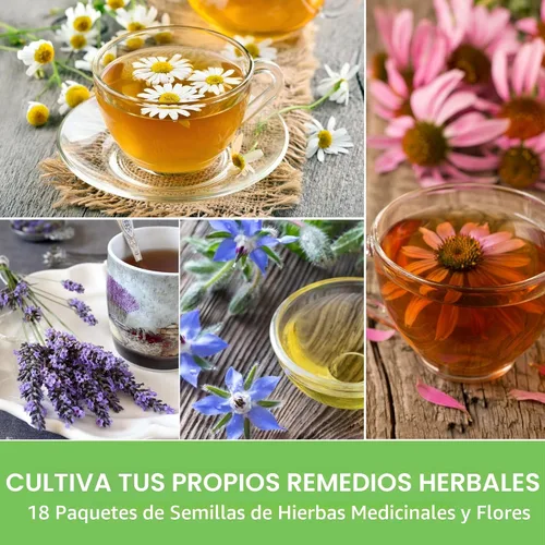 Miniatura 5 de Semillas de hierbas para té medicinal para sembrar Paquete de 9 variedades de hierbas autóctonas, sin OMG – Cultive tés herbales, remedios
