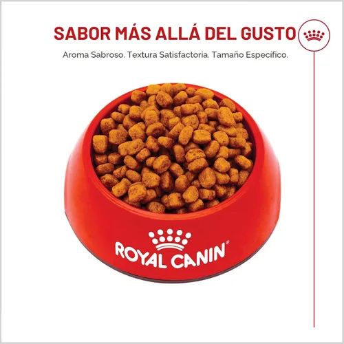 Miniatura 8 de Royal Canin Breed Health Nutrition Yorkshire Terrier Adulto Alimento Seco para Perros, Bolsa de 10 lb