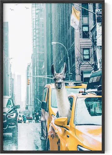 Miniatura 12 de RipGrip Decoración de dormitorio de llama y arte de pared de llama, pósteres para habitación de niños, bonitos pósteres para dormitorio