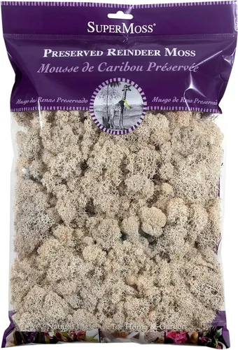 Miniatura 26 de Super Moss 21669 - Musgo de reno preservado, Chartreuse, 8 onzas (200 pulgadas cúbicas)