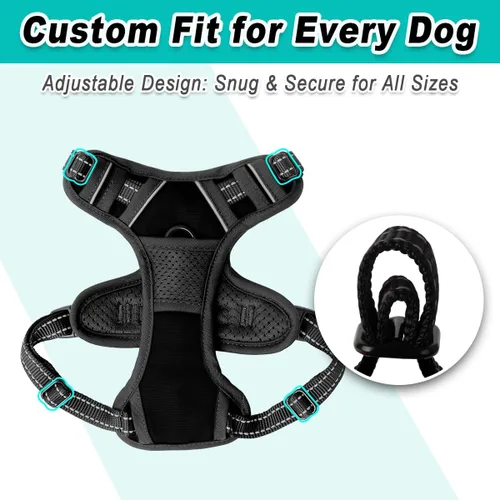 Miniatura 6 de BARKBAY Arnés para perro sin tirones para perros pequeños, ajustable, reflectante, cómodo, sin estrangulamiento, resistente, perfecto