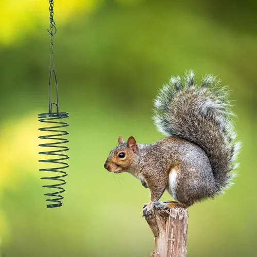 Miniatura 4 de Geiserailie Soporte para mazorca de maíz con cadena de extensión de 35 pulgadas para ardilla y otros suministros de alimentación en el patio trasero