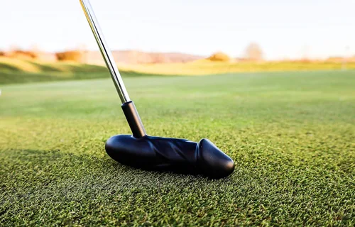 Miniatura 4 de Peter Putter Professional Golf Putter Premium Aluminum Head with Chrome Stepless Shaft Stiff Flex Graphite Construction Available in Classic
