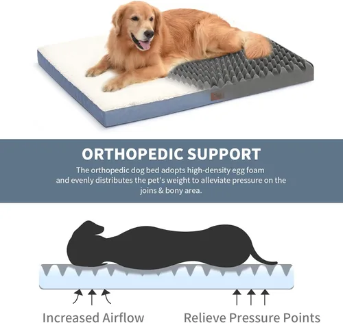 Miniatura 2 de Cama ortopédica de felpa para perros y cachorros medianos, camas impermeables para perros de 30 x 20 pulgadas con funda extraíble lavable, tapete