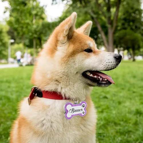 Miniatura 7 de Etiquetas para perros personalizadas para mascotas, etiquetas de nombre para perro, etiqueta para perro personalizada grabada con cualquier nombre
