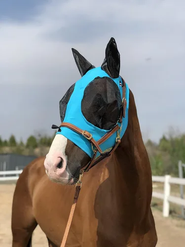 Miniatura 8 de Máscara para caballo Tgw Riding, con orejas, con agarre extracómodo, de malla suave, Azul, M Pacific Blue