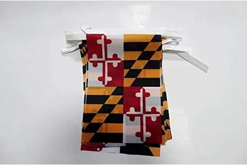 Miniatura 66 de AZ FLAG Señal marítima internacional 42.7 ft BUNTING Flag 40 banderas 9'' x 6'' - Banderas de cuerda del alfabeto náutico 5.9 x 8.3 in
