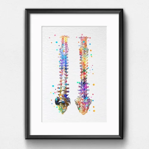 Miniatura 4 de Dignovel Studios 8X10 sin marco de la columna vertebral humana anatomía ósea médico médico acuarela arte impresión cartel inauguración casa giclée