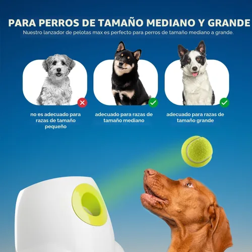 Miniatura 4 de ALL FOR PAWS Lanzador automático de bolas para perros, máquina interactiva para cachorros, bolas para mascotas, para exteriores, 6 bolas incluidas