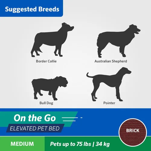 Miniatura 7 de Coolaroo On-The-Go Cama Elevada para Perros - Cama Plegable Emergente de Viaje para Perros con Tela Transpirable, Resistente a la Humedad, Bolsa
