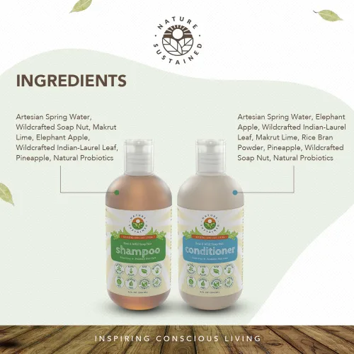 Miniatura 5 de Nature Sustained Champú y acondicionador para piel pura y sensible, fórmula vegetal probiótica cruda (pH equilibrado) para piel sensible y cabello