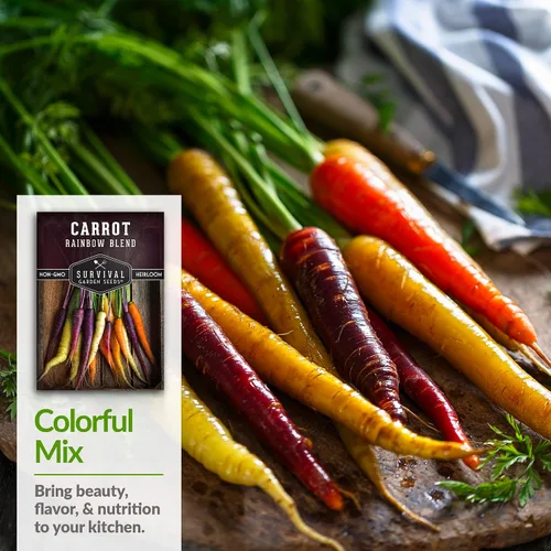 Miniatura 4 de Semillas de zanahoria arcoíris para plantar, mezcla colorida de reliquia que incluye zanahorias moradas, amarillas y naranjas, vegetales de jardín