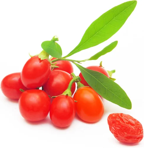 Semillas de bayas de Goji para cultivar - Más de 100 semillas - Cultiva un árbol exótico que da frutos, muy divertido. ¡Debes probarlo!