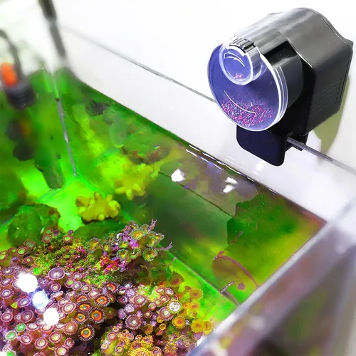 Miniatura 3 de Plplaaoo Comedero automático de peces para acuario Alimentador automático de peces a pilas con control de porciones ajustable Temporizador