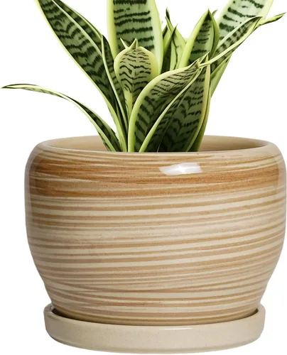 Miniatura 48 de SQOWL Macetas de cerámica – Maceta de 6 pulgadas con orificio de drenaje y bandeja, maceta redonda para plantas de interior, maceta decorativa