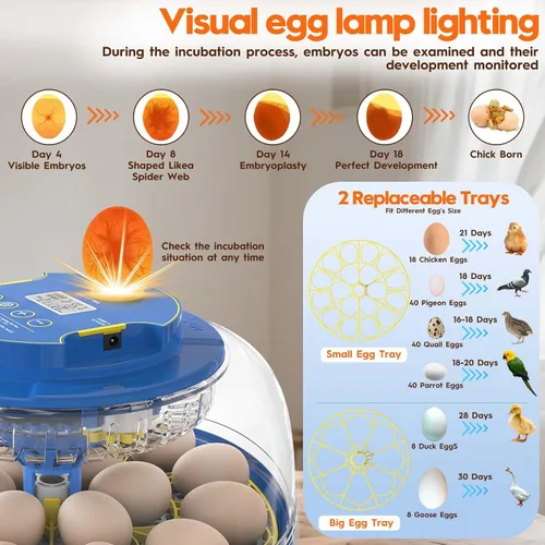 Miniatura 5 de Incubadora para incubación de huevos-18 huevos con giro automático de huevos y control de humedad Vista de 360 ° Incubadora de Huevos, patos