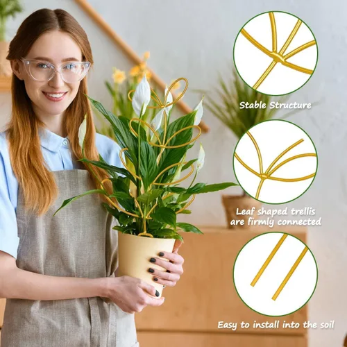 Miniatura 3 de 8 paquetes de enrejado de alambre de metal dorado para plantas en maceta, plantas trepadoras, amantes de las plantas de interior, Hoya, Pothos