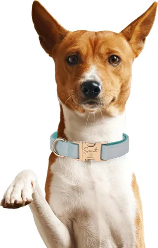Miniatura 2 de Juego de arnés de terciopelo, regalo para dueños de mascotas, collar personalizado con nombre y número de teléfono, collar y correa personalizados