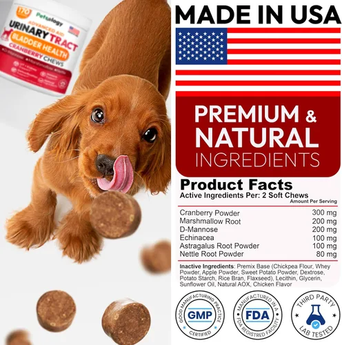 Miniatura 7 de Tratamiento de infecciones urinarias para perros, 170 masticables de arándano para perros, infección del tracto urinario, salud de la vejiga