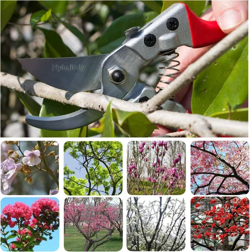 Miniatura 2 de Tijeras de podar con cuchillas de acero inoxidable SK5 + punta recta tijeras de jardinería tijeras de jardín tijeras de jardín tijeras