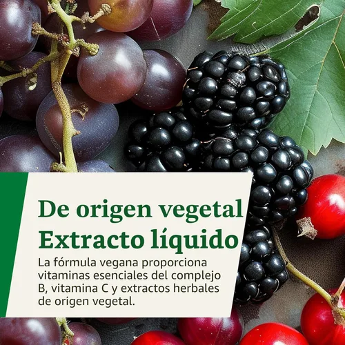 Miniatura 7 de Floradix Floravital Fórmula líquida de hierro y vitaminas, suplemento de hierro líquido con vitaminas C y B y hierbas para apoyo energético, vegano