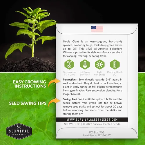 Miniatura 2 de Semillas gigantes de espinacas nobles para plantar, vegetales tradicionales sin OMG, tolerantes a la sequía, resistentes a los tornillos, espinacas