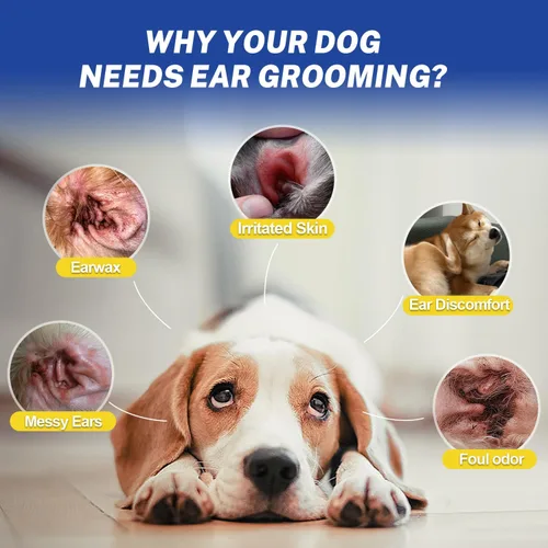 Miniatura 5 de Herramienta de depilación de orejas de perro con polvo para orejas – Pinzas de bloqueo curvadas de 5.5 pulgadas – Ayuda a eliminar el exceso de pelo
