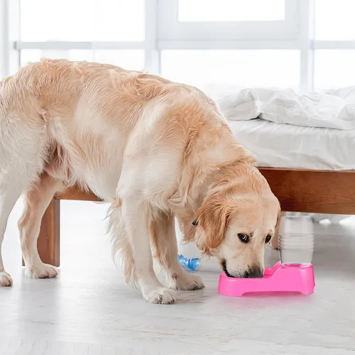 Miniatura 4 de Mipcase Puppy Supplies - Comedero de agua para perros, dispensador de agua para perros, grande, dispensador automático de agua para alimentos