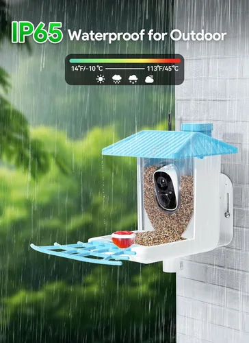 Miniatura 7 de Osoeri Comedero para pájaros con cámara, alimentador solar inteligente para pájaros con identificación de IA, video de captura automática HD de Azul