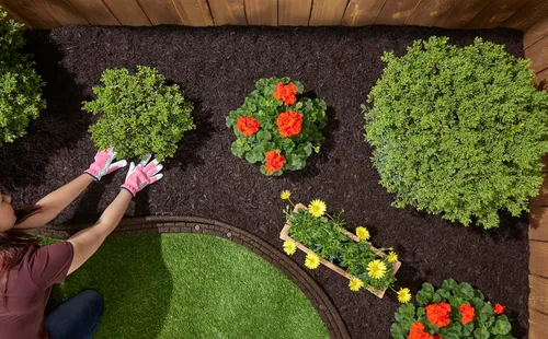 Miniatura 4 de Rubberific Mantillo de Goma Triturada Premium para Jardines, Césped y Paisajismo Color de Larga Duración Parece Mantillo de Madera Natural