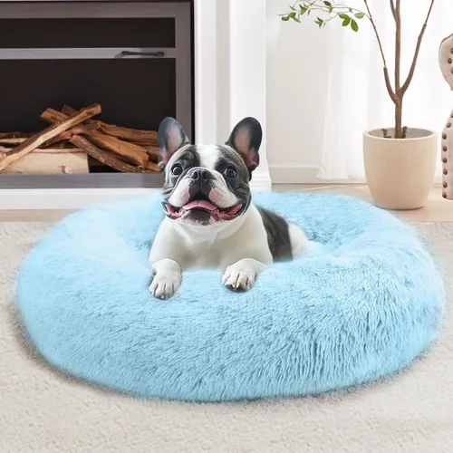 Miniatura 23 de JOLLYVOGUE Cama Calmante para Perros Pequeños - Cama para Perros Pequeños en Forma de Dona Lavable de 23 Pulgadas para Gatitos y Cachorros, Camas