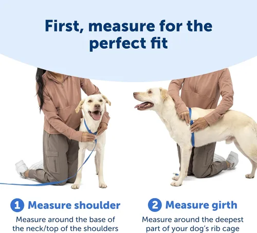Miniatura 6 de PetSafe Easy Walk Comfort Arnés para Perro Anti-tirones - Mejor Arnés de Entrenamiento para Caminar - Diseño Acolchado de Cuerpo Completo - Tela