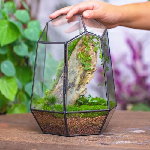 Miniatura 4 de NCYP Cerrar Terrario geométrico de vidrio con puerta, maceta irregular de 9.8 pulgadas de alto para suculentas, cactus pequeños, decoración moderna