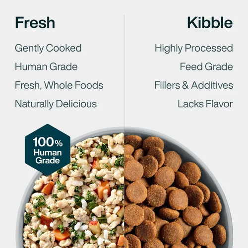 Miniatura 7 de JustFoodForDogs Alimento fresco congelado para perros, comida completa o alimento para perros, receta de comida para perros de grado humano