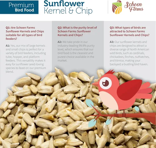 Miniatura 5 de Schoen Farms Granos y patatas fritas de girasol – Bolsa de 10.0 lbs – Semillas de pájaro de corazones de girasol con cáscara – Alimento sin desorden