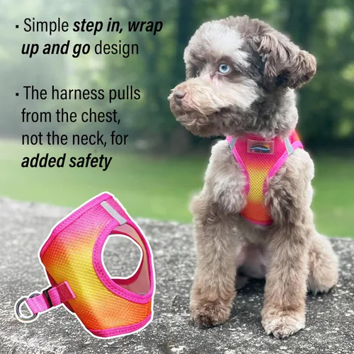 Miniatura 4 de Doggie Design Arnés para perro – Arnés sin estrangulamiento para mascotas, chaleco de malla de poliéster, diseño simple para entrar y salir, chaleco