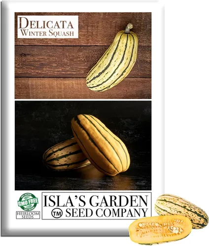 Semillas de calabaza de invierno "Delicata" para plantar, más de 25 semillas tradicionales por paquete, semillas de jardín de Isla (semillas de