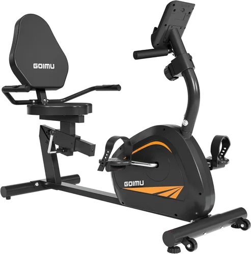 Recumbent Exercise Bike, Stationary Bikes for Home Magnetic Recumbent Bike with Adjust Seat for Adults Seniors, 300LB Capacity & 8-level Resistance,