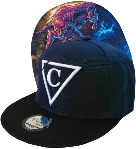 Miniatura 311 de Capiche - Gorra de visera plana de serie especial, talla única, unisex, hombre, más de 99 diseños