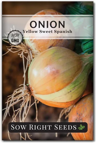 Miniatura 7 de Sow Right Seeds - Semillas de cebolla dulce española amarilla para plantar - Paquete de reliquia sin OMG con instrucciones para plantar un huerto