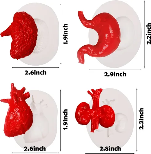 Miniatura 3 de Moldes de silicona para órganos humanos, 8 unidades para Halloween, corazón, cerebro, hígado, estómago intestinal, moldes de fondant de chocolate