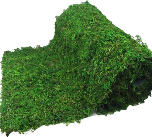 FAICOIA Camino de mesa de musgo, rollo de musgo verde para jardines de hadas, decoración de mesa de bosque, musgo seco para manualidades, 16 x 118
