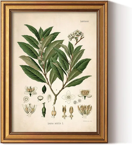 ARPEOTCY Lienzo enmarcado de oro, decoración de pared de hoja de laurel, cuadros de pintura de granja, decoración de estante de cocina de