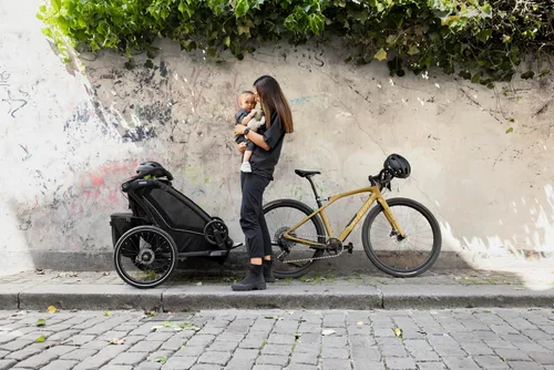 Miniatura 15 de Thule Chariot Sport 2