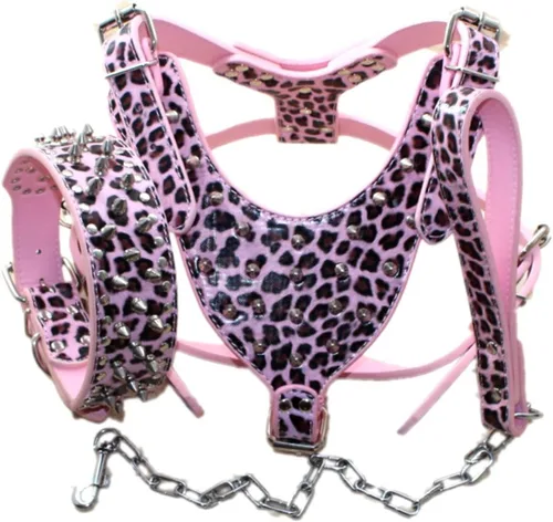 Miniatura 8 de Arnés para perro con tachuelas de cuero de raza, collar y correas, juego de 3 piezas para perros medianos y grandes, mastín, boxer, bull terrier