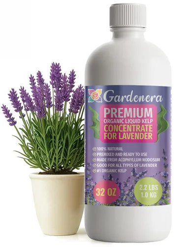 Miniatura 19 de GARDENERA Superalimento orgánico prémium de algas marinas y algas marinas para plantas AGLAONEMA, 8 onzas, concentrado de fertilizante líquido
