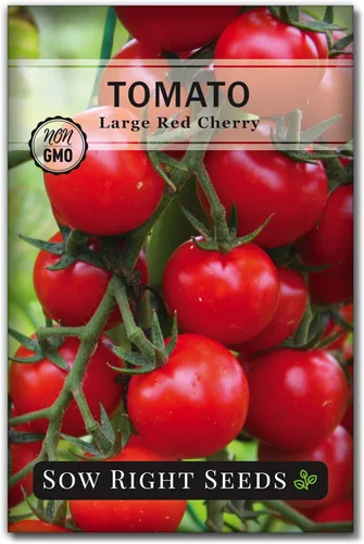 Sow Right Seeds - Semillas grandes de tomate cereza roja para plantar - Paquete de reliquia sin OMG con instrucciones para plantar un huerto casero