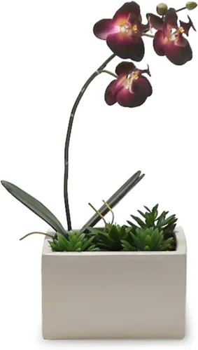 Miniatura 3 de WGV - Jarrón de cerámica con bloque a granel, ancho de 6 pulgadas, alto 4 pulgadas, elegante maceta cuadrada corta, floral, terrario, cómoda