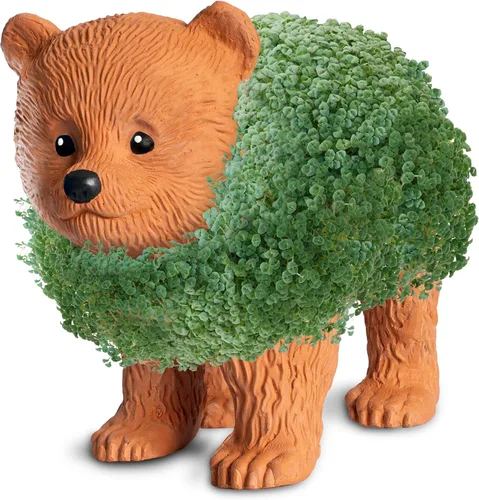 Miniatura 3 de Chia Pet Bear Cub con paquete de semillas, maceta decorativa de cerámica, fácil de hacer y divertido de cultivar, regalo novedoso, perfecto