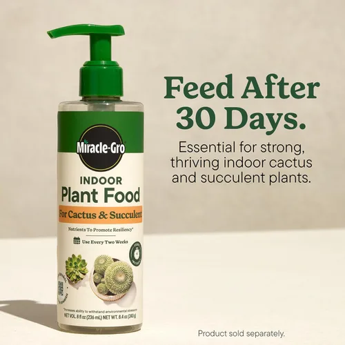 Miniatura 9 de Miracle-Gro Mezcla para macetas de interior para cactus y suculentas, mezcla para macetas de cactus y suculentas de drenaje rápido con alimentos